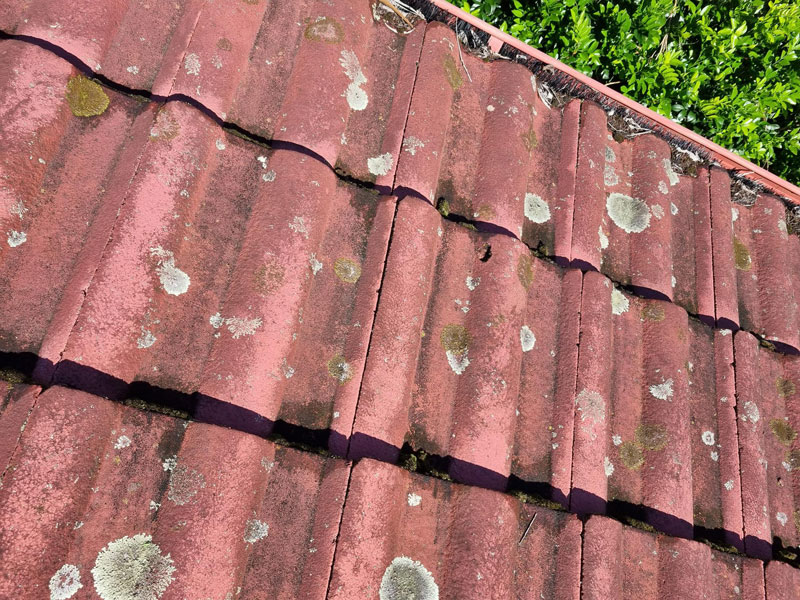 Old-roof-tiles